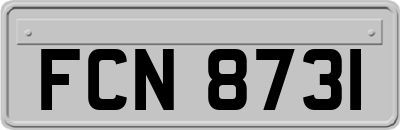 FCN8731