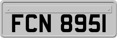 FCN8951