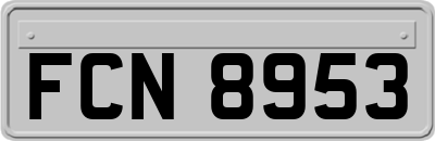 FCN8953