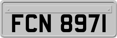 FCN8971