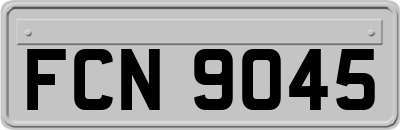 FCN9045