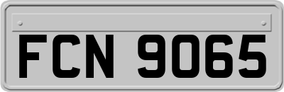 FCN9065