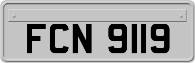 FCN9119