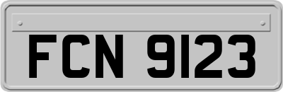 FCN9123