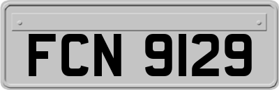 FCN9129