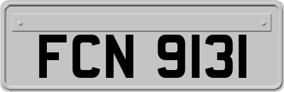 FCN9131