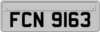 FCN9163