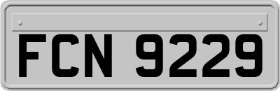 FCN9229