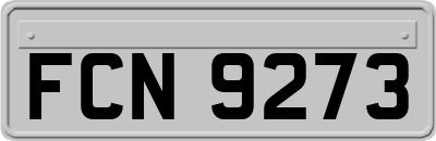 FCN9273