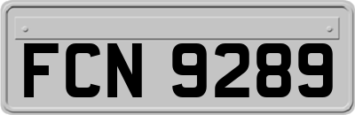 FCN9289