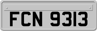 FCN9313