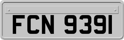 FCN9391