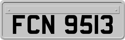 FCN9513