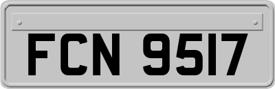 FCN9517
