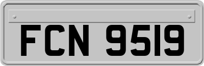 FCN9519