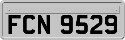 FCN9529