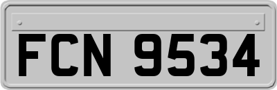 FCN9534