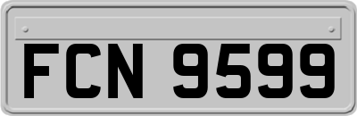 FCN9599