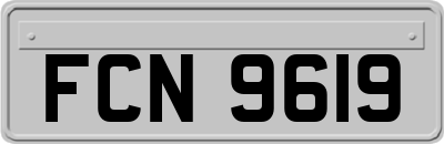 FCN9619