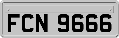 FCN9666