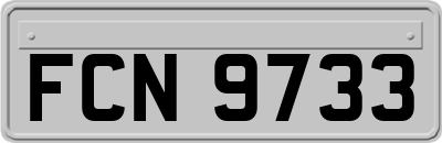 FCN9733