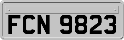 FCN9823