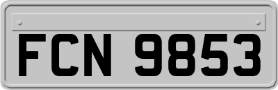 FCN9853