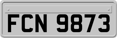 FCN9873