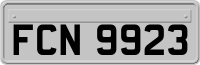 FCN9923