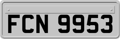FCN9953