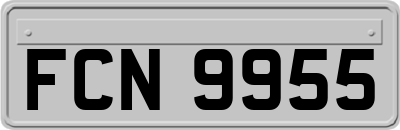 FCN9955