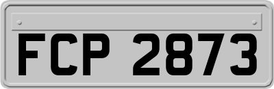 FCP2873