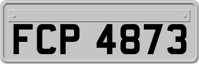 FCP4873