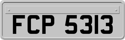 FCP5313