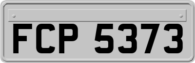 FCP5373