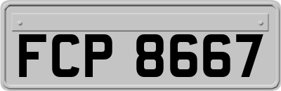 FCP8667