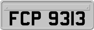 FCP9313
