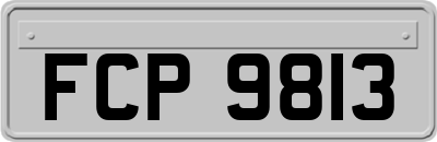 FCP9813