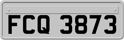 FCQ3873
