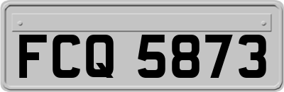 FCQ5873