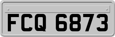 FCQ6873