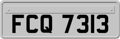 FCQ7313