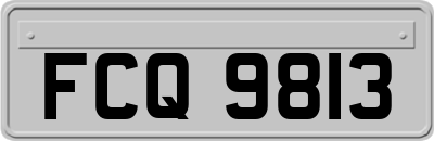 FCQ9813