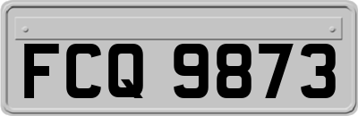 FCQ9873