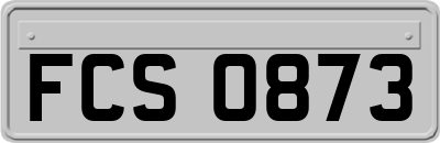 FCS0873