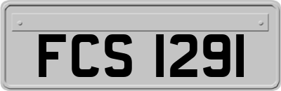 FCS1291