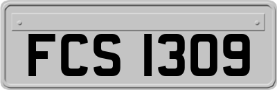 FCS1309