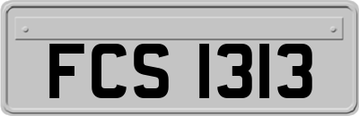 FCS1313