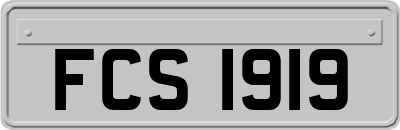 FCS1919