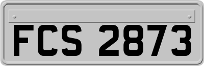 FCS2873